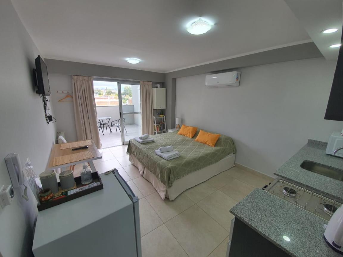Apartment Alvear *